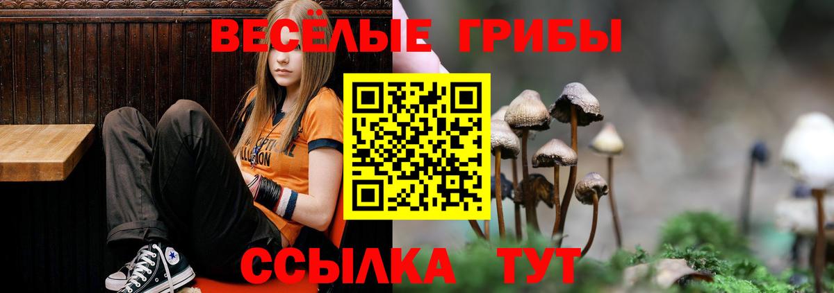 Псилоцибиновые грибы Psilocybine cubensis  закладки  Галлюциногенные грибы мицелий  Ялуторовск  Вход с VPN 